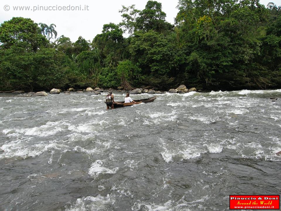 ECUADOR - Foresta Amazzonica - 36.jpg